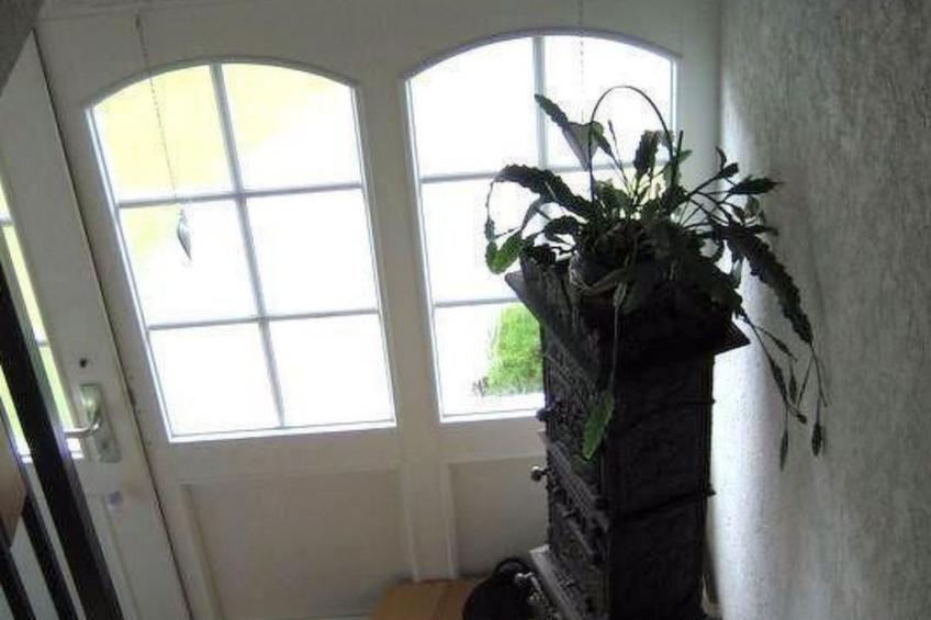 FeWo Haus André - foto 34