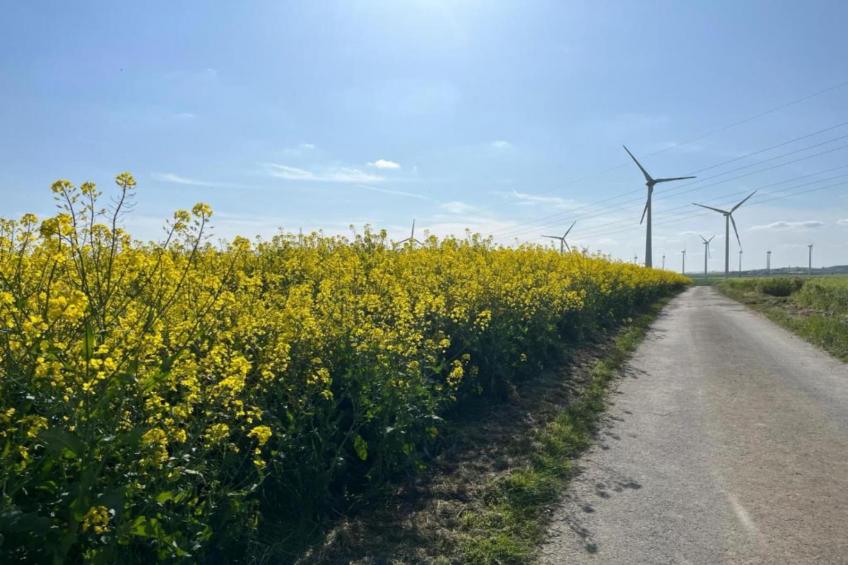 Kaifenheimer Mühle - foto 35