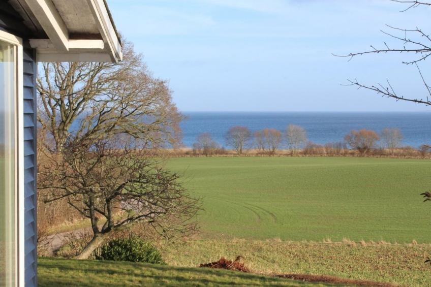 "Hoimar" - 400m from the sea in SE Jutland - foto 34
