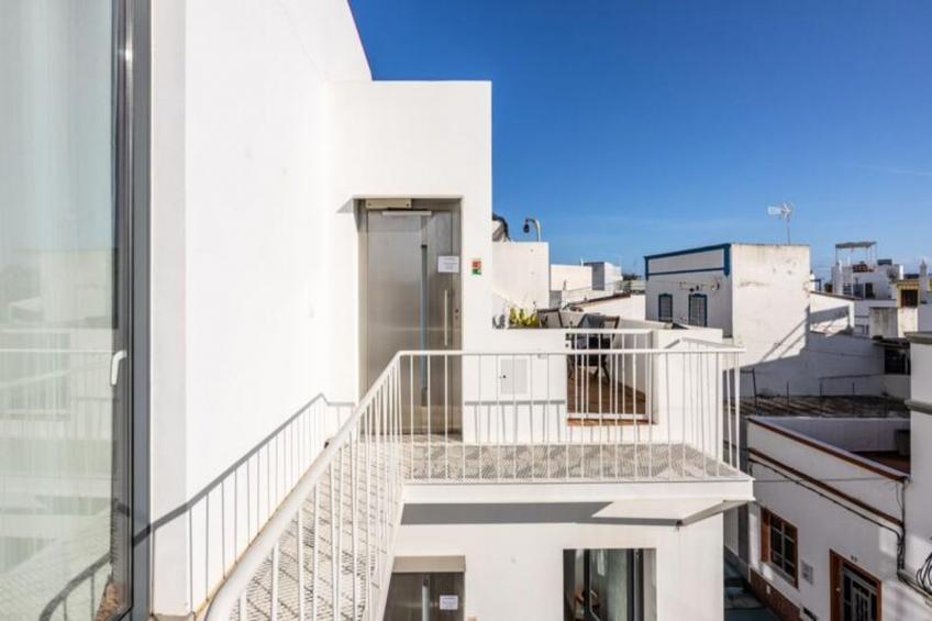 Perdiz Do Mar - Culatra - foto 7