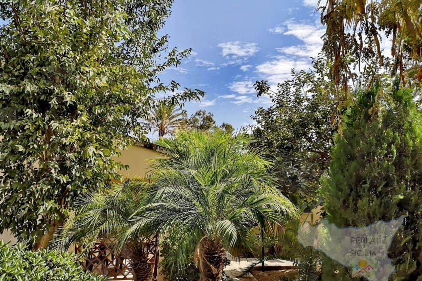 La Perla 8 - foto 23