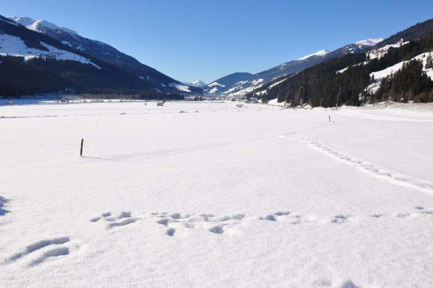 in Strassen mit Privatem Pool - foto 48