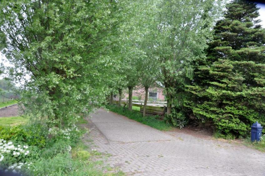 Parc de Kievit - foto 25