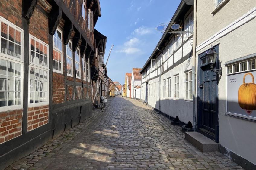 "Constance" - 23km from the sea - foto 4