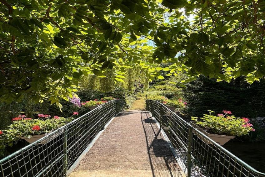 Bligny-sur-Ouche - foto 37