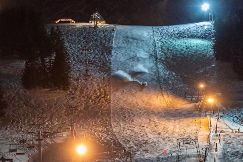 Steinadler - foto 17