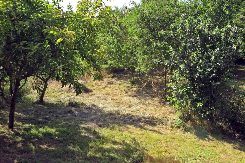 Casa Lopo - traditioneller, gemütlicher Bauernhof - foto 28