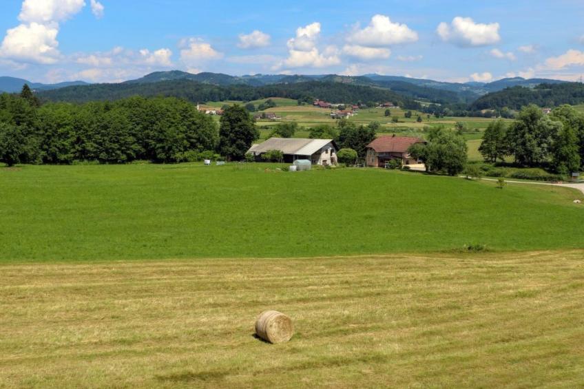 VILLA KATARINA - foto 20