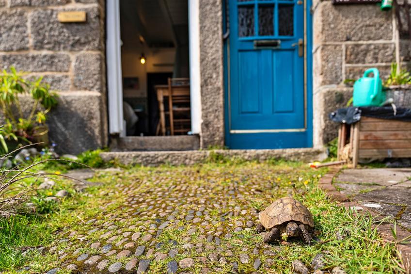 Cosy Mousehole Cottage with Sea Views - foto 27