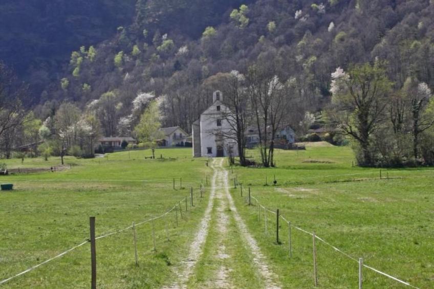 Haus Riga Rossa - foto 22