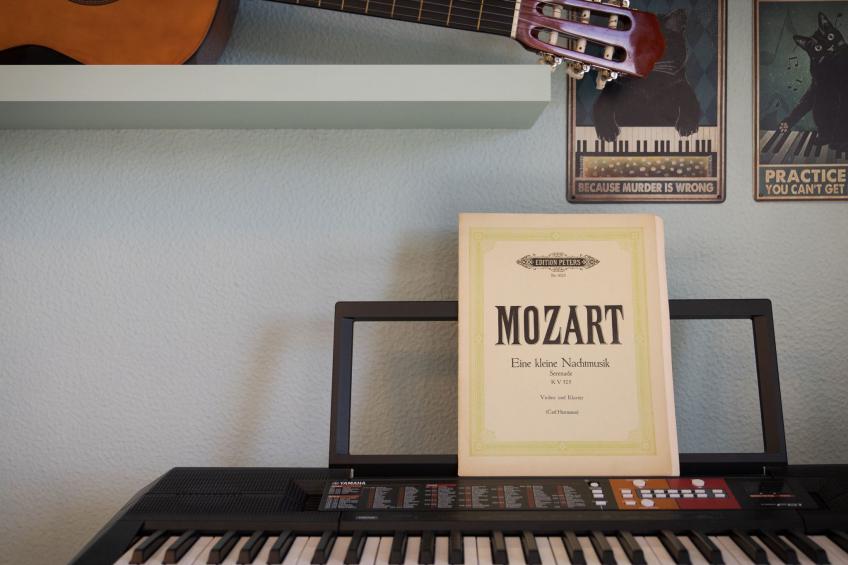 Melodie-Haus von Ponta do Sol - foto 29