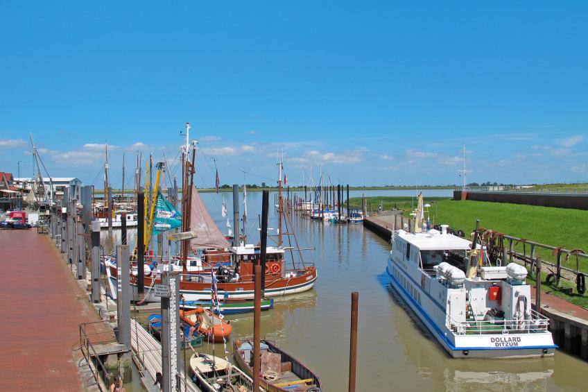 Mühlenblick - foto 50