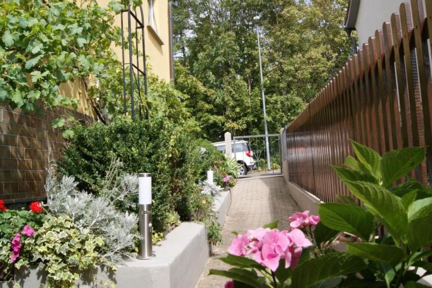 am Jacobsweg - foto 13