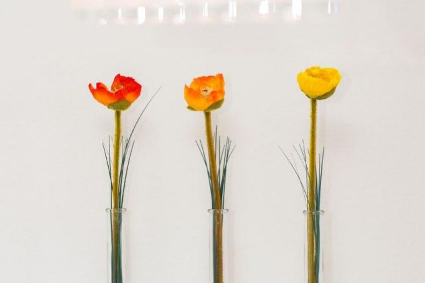 mit schönem Garten - foto 7