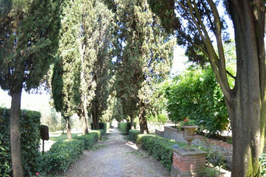 Villa Il Borghetto - foto 14