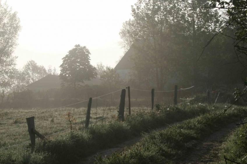 Hof Rodenkrog Fewo 1 - foto 28