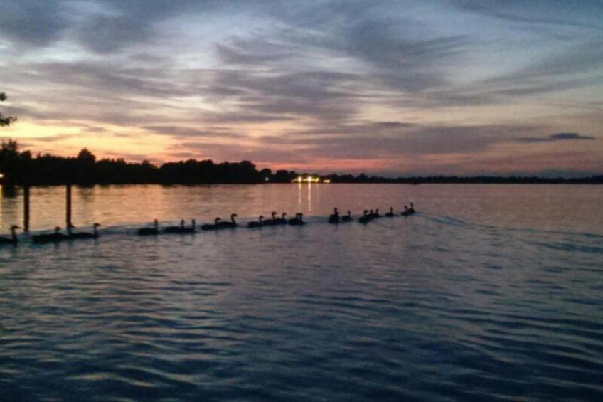 Waterpark Belterwiede - foto 32