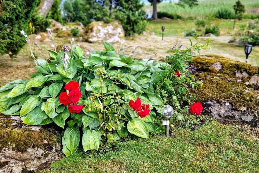 am See Åsunden mit herrlicher Aussicht - foto 30