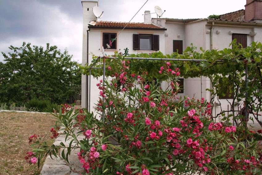 Vakantiewoning met terras - VW-KBXP