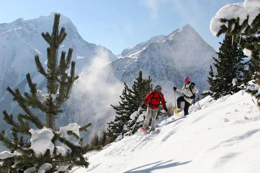 LES DEUX ALPES_S10V - foto 37