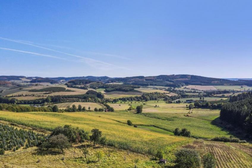 Alpaka-Farm - foto 22