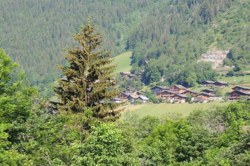 Residence Les Chalets d'Evian - foto 37