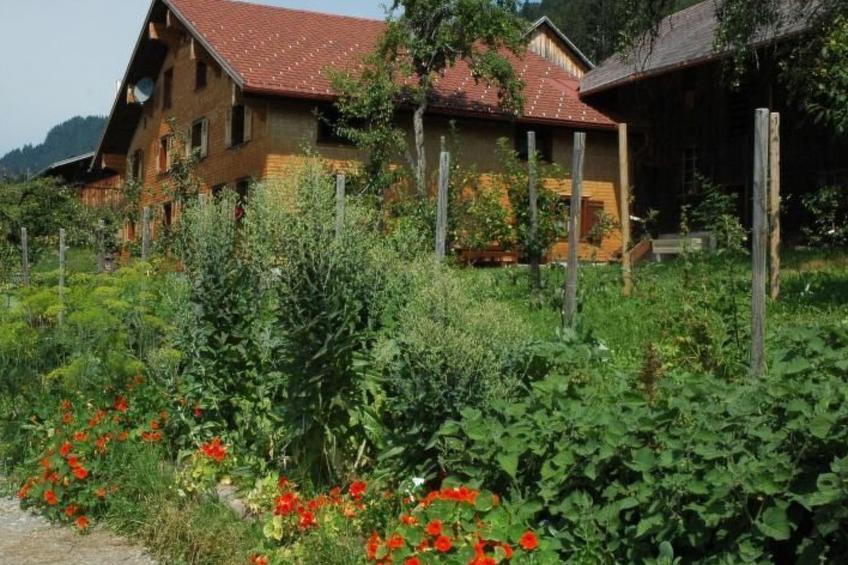 Dünser in Dünserberg - foto 6