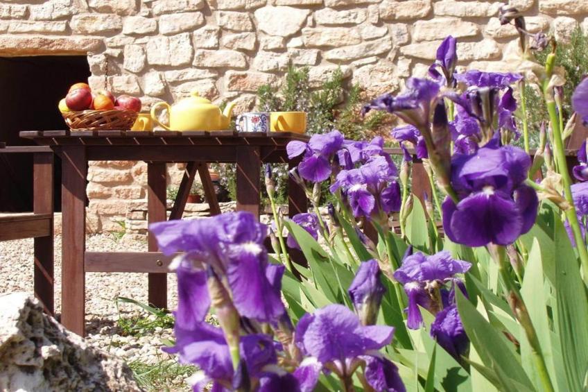 Mas de l'Arlequi - foto 40