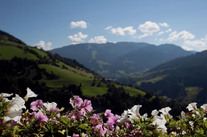 Durchholzhof - foto 21