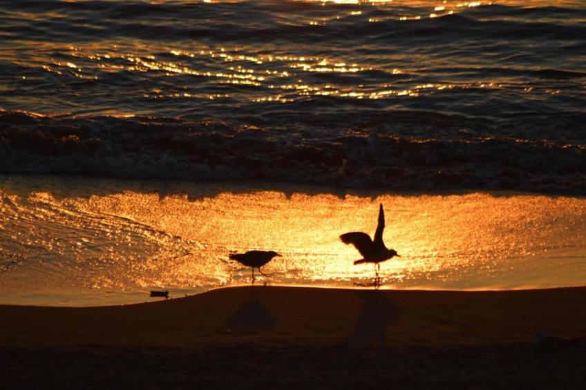 Résidence Domaine Iratzia - foto 37