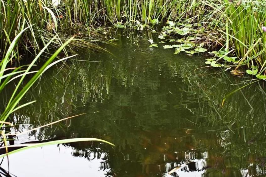 Spree Idyll - foto 12