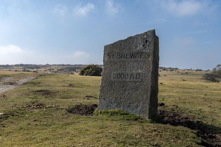 Trippet Cottage at Bodmin Moor - foto 12