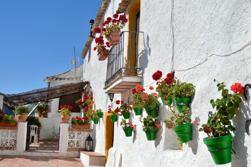 Cortijo Pulgarin Bajo - foto 16