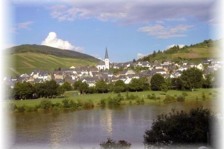zur Mosel - foto 20