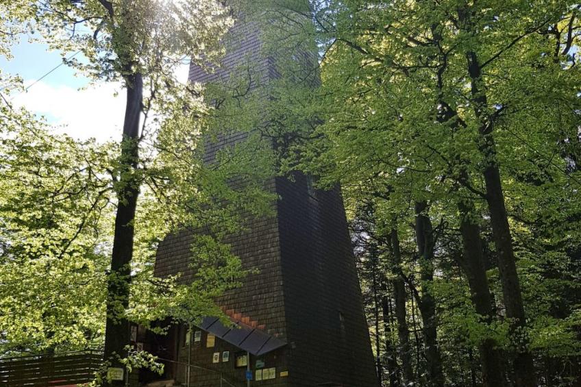 Charmante Wohnung in Langfurth mit Kleinem Balkon - foto 21
