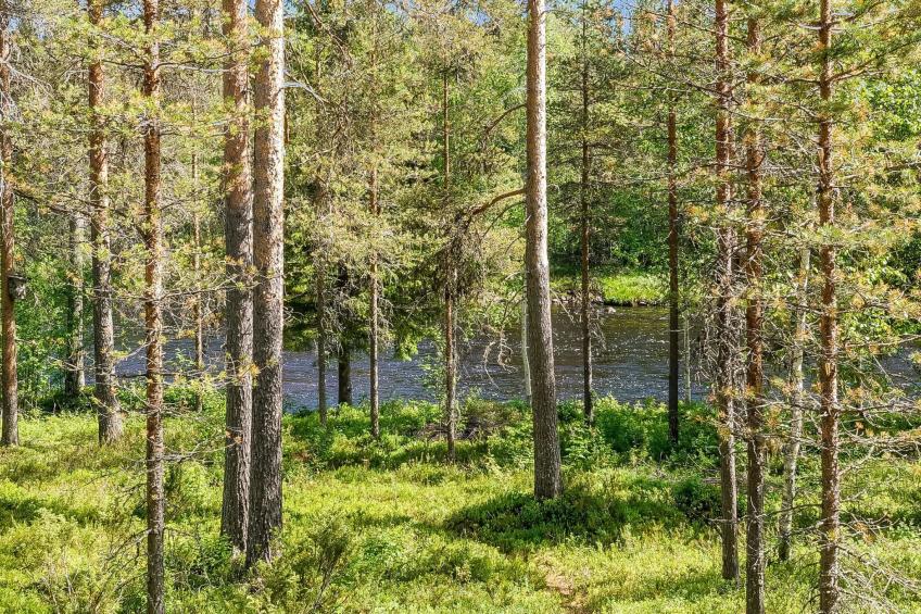 Kulpakko 2 - foto 19