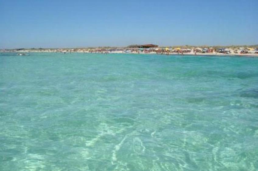 in Torre Mozza mit Terrasse - foto 3