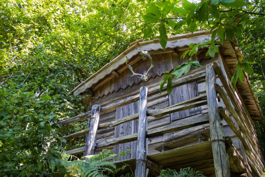 Villa Vallorsaia - foto 17