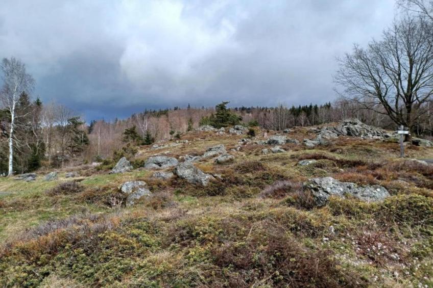 Böhmerwald - foto 25