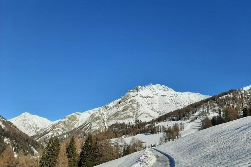 Pensiun Tung - foto 30