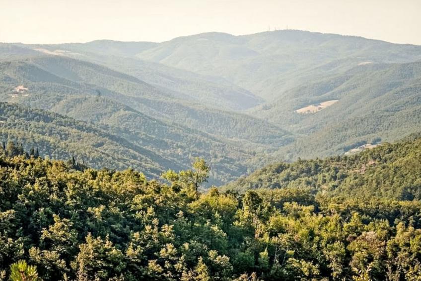 Il Frassino del Borgo di Ghiora - foto 24