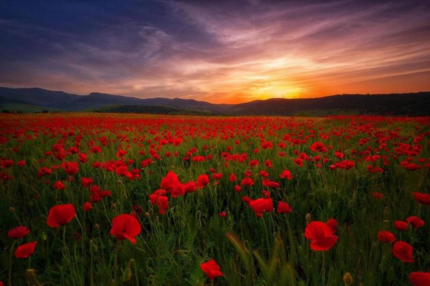 La Bastide des Chênes - foto 23