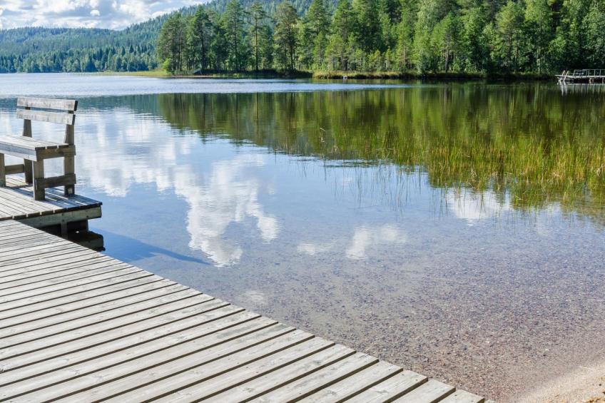 Koli, hiisiranta e4 - foto 23