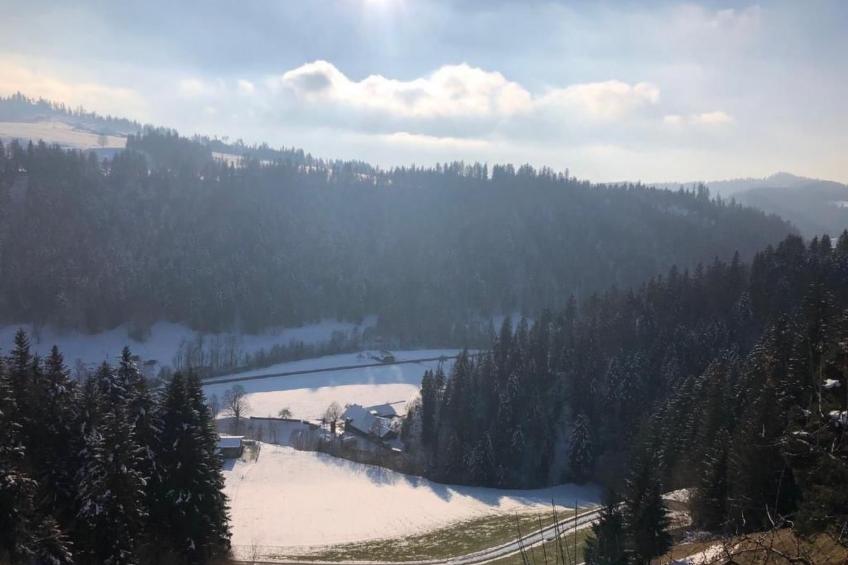 Fischbachboden - foto 17