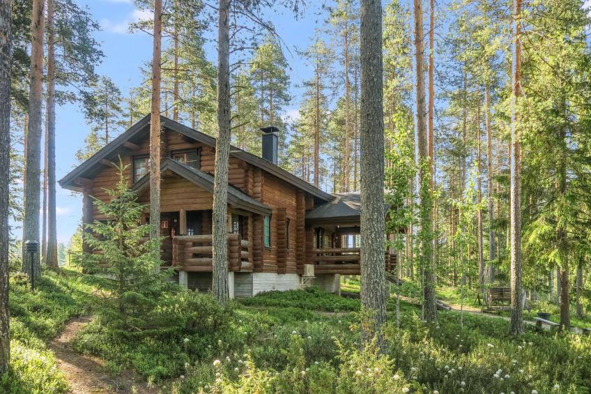 Välikosken karpalo - foto 2