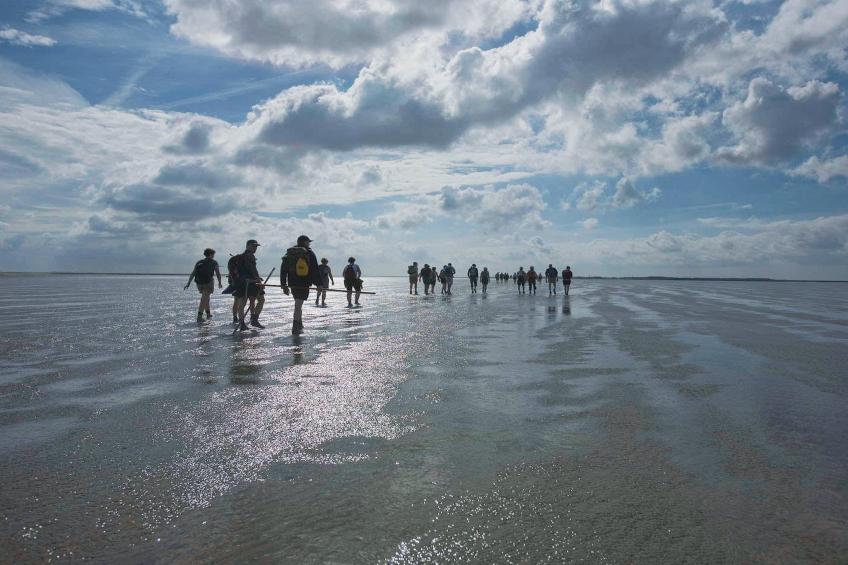 Vakantiepark Emslandermeer 11 - foto 19