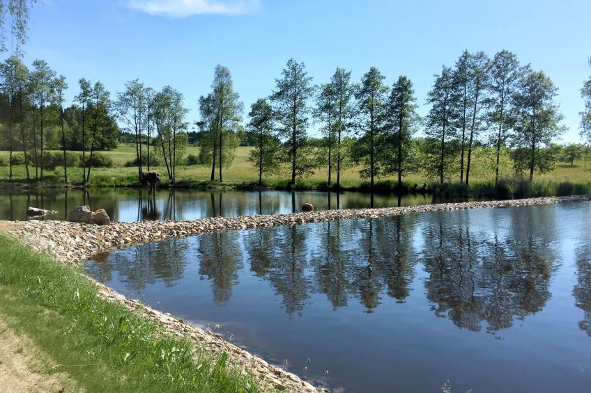 in Gleiritsch mit Grill - foto 14