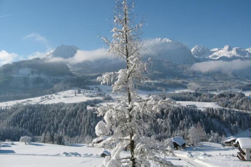 Luxusappartment - foto 45