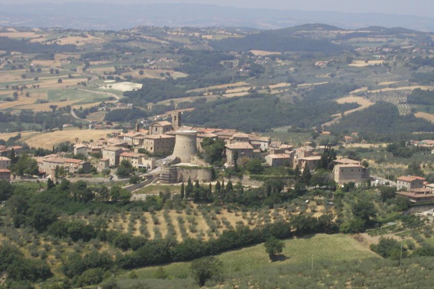 Glicine - foto 40