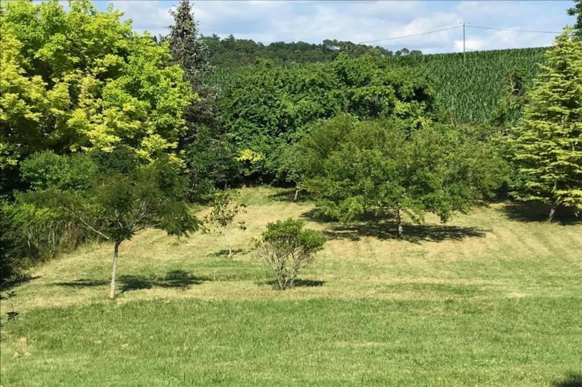 Les Coquelicots - foto 34